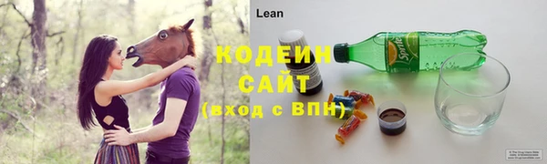 мдпв Бронницы