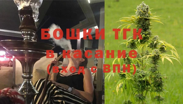 мдпв Бронницы