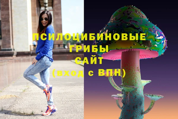 прущие грибы Бугульма