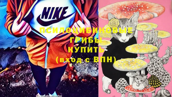 а пвп мука Бородино