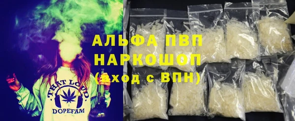 прущие грибы Бугульма
