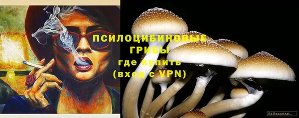 прущие грибы Бугульма