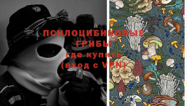 а пвп мука Бородино