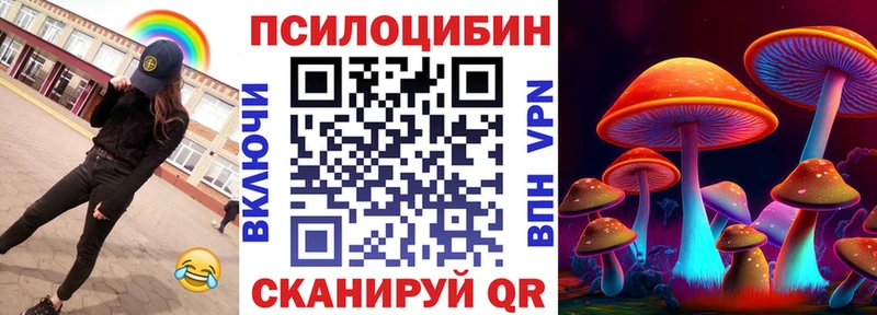 Псилоцибиновые грибы GOLDEN TEACHER Выборг